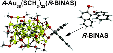 Graphical abstract: Structures and chiroptical properties of the BINAS-monosubstituted Au38(SCH3)24 cluster
