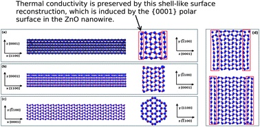 Graphical abstract: Polar surface effects on the thermal conductivity of ZnO nanowires: a shell-like surface reconstruction-induced preserving mechanism