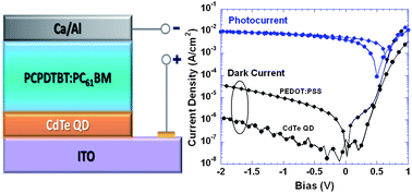 Graphical abstract: Water-soluble CdTe quantum dots as an anode interlayer for solution-processed near infrared polymer photodetectors
