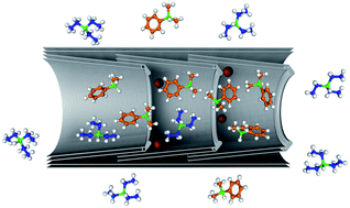 Graphical abstract: Competitive hydrosilylation in carbon nanoreactors: probing the effect of nanoscale confinement on selectivity