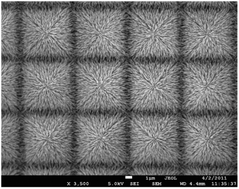 Graphical abstract: Bio-inspired antireflective hetero-nanojunctions with enhanced photoactivity