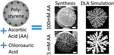 Graphical abstract: Facile colloidal coating of polystyrene nanospheres with tunable gold dendritic patches