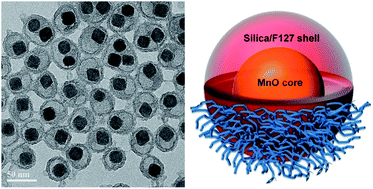 Graphical abstract: Silica–F127 nanohybrid-encapsulated manganese oxide nanoparticles for optimized T1 magnetic resonance relaxivity