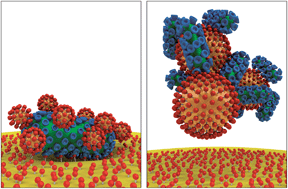 Graphical abstract: Virus inhibition induced by polyvalent nanoparticles of different sizes