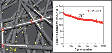 Graphical abstract: Free-standing and binder-free sodium-ion electrodes with ultralong cycle life and high rate performance based on porous carbon nanofibers