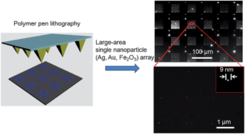 Graphical abstract: In situ synthesis of large-area single sub-10 nm nanoparticle arrays by polymer pen lithography