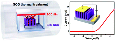 Graphical abstract: A low temperature process for phosphorous doped ZnO nanorods via a combination of hydrothermal and spin-on dopant methods