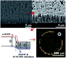 Graphical abstract: White light emission from heterojunction diodes based on surface-oxidized porous Si nanowire arrays and amorphous In-Ga-Zn-O capping