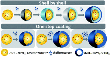 Graphical abstract: The impact of shell host (NaYF4/CaF2) and shell deposition methods on the up-conversion enhancement in Tb3+, Yb3+ codoped colloidal α-NaYF4 core–shell nanoparticles