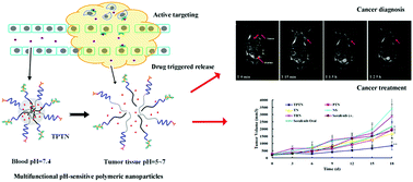 Graphical abstract: Multifunctional pH-sensitive polymeric nanoparticles for theranostics evaluated experimentally in cancer