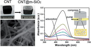 Graphical abstract: A compressible mesoporous SiO2 sponge supported by a carbon nanotube network