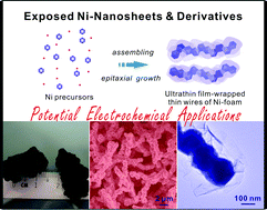 Graphical abstract: Hierarchical foam of exposed ultrathin nickel nanosheets supported on chainlike Ni-nanowires and the derivative chalcogenide for enhanced pseudocapacitance