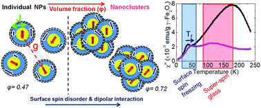 Graphical abstract: Assembly-mediated interplay of dipolar interactions and surface spin disorder in colloidal maghemite nanoclusters