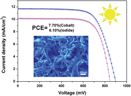 Graphical abstract: Titania nanobundle networks as dye-sensitized solar cell photoanodes