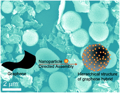 Graphical abstract: Electroactive nanoparticle directed assembly of functionalized graphene nanosheets into hierarchical structures with hybrid compositions for flexible supercapacitors