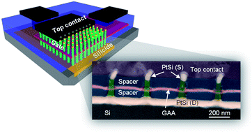 Graphical abstract: Vertical nanowire array-based field effect transistors for ultimate scaling