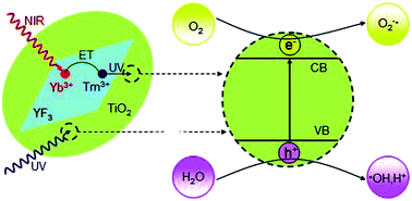 Graphical abstract: Synthesis of rhombic hierarchical YF3 nanocrystals and their use as upconversion photocatalysts after TiO2 coating