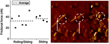 Graphical abstract: Sliding and rolling frictional behavior of a single ZnO nanowire during manipulation with an AFM