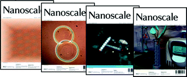 Graphical abstract: Functional nanoparticles for biomedical applications