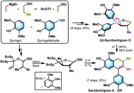 Graphical abstract: Total synthesis of (±)-sacidumlignans D and A through Ueno–Stork radical cyclization reaction