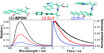 Graphical abstract: Stereodifferentiation in the intramolecular singlet excited state quenching of hydroxybiphenyl–tryptophan dyads