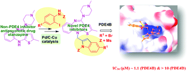 Graphical abstract: Novel N-indolylmethyl substituted olanzapine derivatives: their design, synthesis and evaluation as PDE4B inhibitors