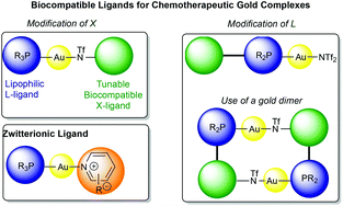 Graphical abstract: Gold amides as anticancer drugs: synthesis and activity studies