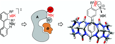 Graphical abstract: Subtle “supramolecular buttressing effects” in Cucurbit[7]uril/guest assemblies
