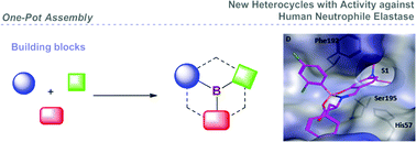 Graphical abstract: Discovery of new heterocycles with activity against human neutrophile elastase based on a boron promoted one-pot assembly reaction