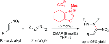 Graphical abstract: Catalytic MBH reaction of β-substituted nitroalkenes with azodicarboxylates