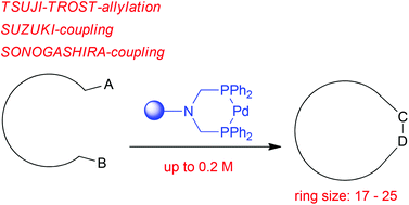 Graphical abstract: Investigation of the origin and synthetic application of the pseudodilution effect for Pd-catalyzed macrocyclisations in concentrated solutions with immobilized catalysts