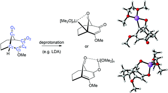 Graphical abstract: Bridgehead enolate or bridgehead organolithium? DFT calculations provide insights into a difficult bridgehead substitution reaction in the synthesis of the polycyclic polyprenylated acylphloroglucinol (PPAP) nemorosone