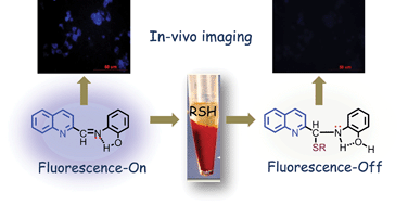 Graphical abstract: Designing a thiol specific fluorescent probe for possible use as a reagent for intracellular detection and estimation in blood serum: kinetic analysis to probe the role of intramolecular hydrogen bonding