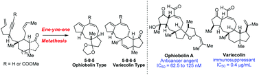 Graphical abstract: Construction of the basic skeleton of ophiobolin A and variecolin