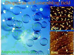 Graphical abstract: Two-dimensional self-assembly of amphiphilic porphyrins on a dynamically shrinking droplet surface