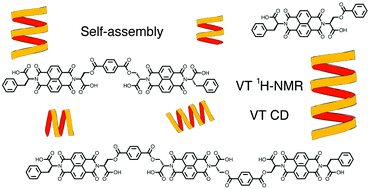 Graphical abstract: The thermodynamics of the self-assembly of covalently linked oligomeric naphthalenediimides into helical organic nanotubes
