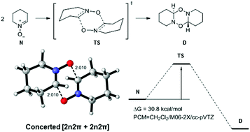 Graphical abstract: [2n2π + 2n2π] Cycloadditions: an alternative to forbidden [4π + 4π] processes. The case of nitrone dimerization