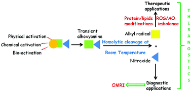 Graphical abstract: Alkoxyamines: a new family of pro-drugs against cancer. Concept for theranostics