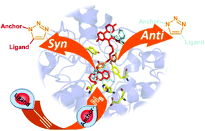 Graphical abstract: Reaction site-driven regioselective synthesis of AChE inhibitors