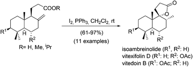 Graphical abstract: The first synthesis of (−)-isoambreinolide, (+)-vitexifolin D and (+)-vitedoin B