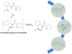 Graphical abstract: Palladium catalyzed acetoxylation of benzylic C–H bonds using a bidentate picolinamide directing group