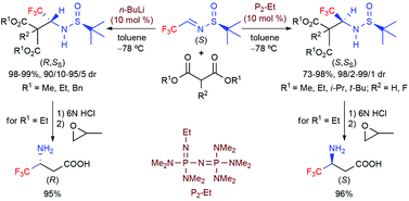 Graphical abstract: Asymmetric Mannich reaction between (S)-N-(tert-butanesulfinyl)-3,3,3-trifluoroacetaldimine and malonic acid derivatives. Stereodivergent synthesis of (R)- and (S)-3-amino-4,4,4-trifluorobutanoic acids