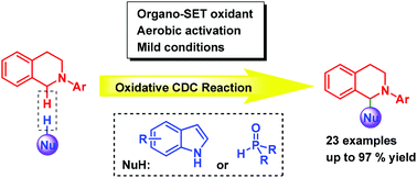 Graphical abstract: Catalytic amounts of triarylaminium salt initiated aerobic oxidative coupling of N-aryl tetrahydroisoquinolines