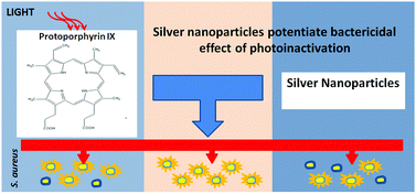 Graphical abstract: Sub-lethal photodynamic inactivation renders Staphylococcus aureus susceptible to silver nanoparticles