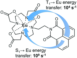 Graphical abstract: Photophysics of 1,8-naphthalimide/Ln(iii) dyads (Ln = Eu, Gd): naphthalimide → Eu(iii) energy-transfer from both singlet and triplet states