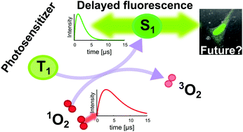Graphical abstract: Singlet oxygen-sensitized delayed fluorescence of common water-soluble photosensitizers