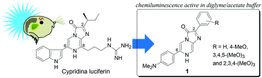 Graphical abstract: Chemiluminescent 2,6-diphenylimidazo[1,2-a]pyrazin-3(7H)-ones: a new entry to Cypridina luciferin analogues