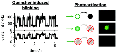 Graphical abstract: Single-molecule photophysics of dark quenchers as non-fluorescent FRET acceptors