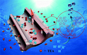 Graphical abstract: Enhanced photocatalytic hydrogen production from an MCM-41-immobilized photosensitizer–[Fe–Fe] hydrogenase mimic dyad