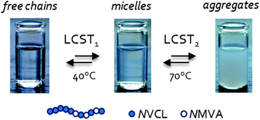 Graphical abstract: One-pot controlled synthesis of double thermoresponsive N-vinylcaprolactam-based copolymers with tunable LCSTs